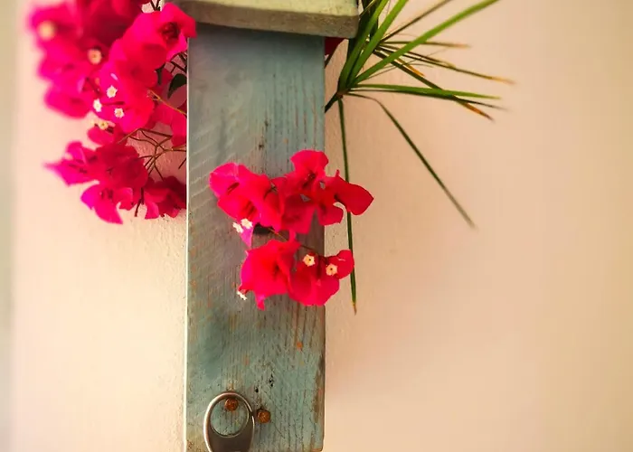 Olas De Conil 度假居 科尼尔-德拉弗龙特拉