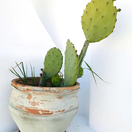 Ferienhaus Olas De Conil *