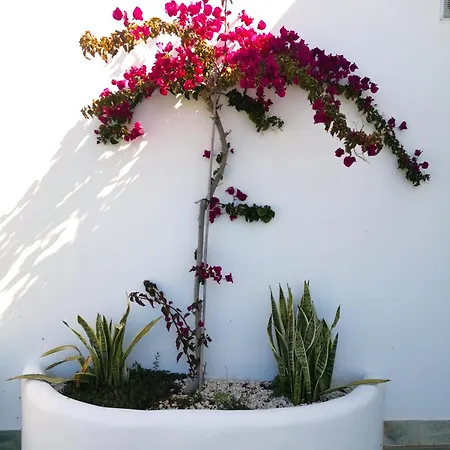 Ferienhaus Olas De Conil *