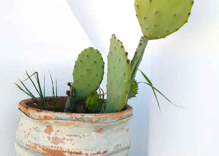 Hébergement de vacances Olas De Conil *