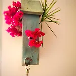 Olas De Conil 펜션 콘일데라프론테라