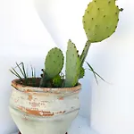 펜션 Olas De Conil *