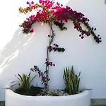 펜션 Olas De Conil *