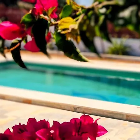 Tatil Evi Olas De Conil Conil De La Frontera