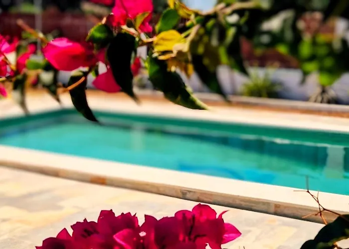 Дом отдыха Olas De Conil Кониль-де-ла-Фронтера