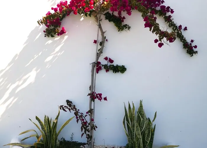 Дом отдыха Olas De Conil *